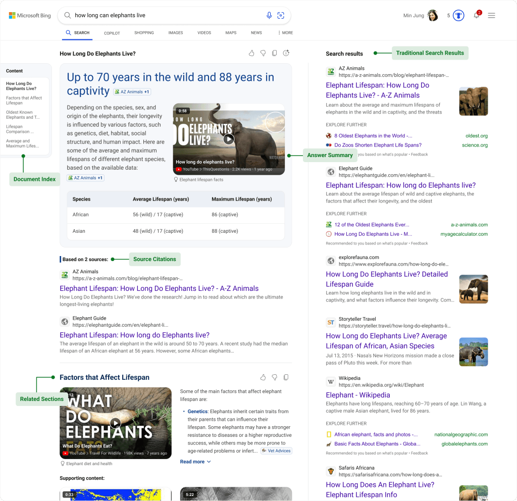 Bing AI search example